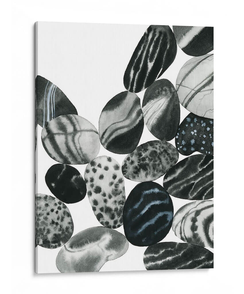 Dalmatian Rocks Ii - Grace Popp | Cuadro decorativo de Canvas Lab