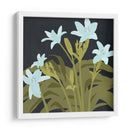 Lirios De Jardín I - W. Rutledge | Cuadro decorativo de Canvas Lab