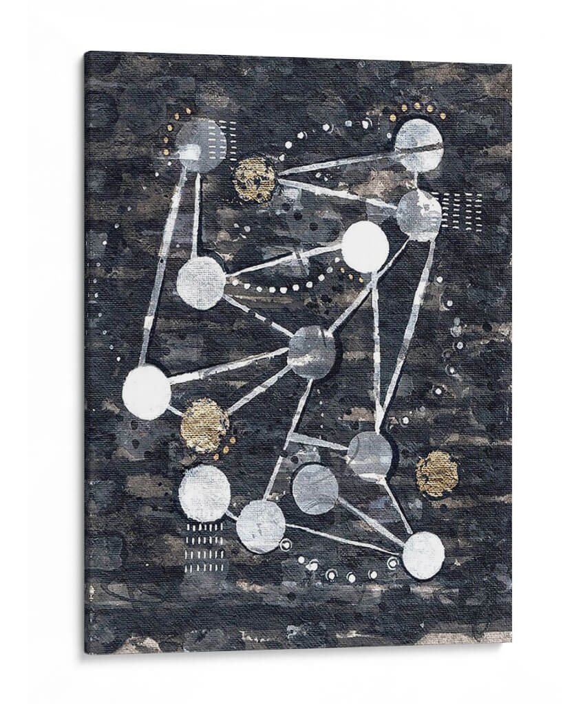 Etapas - Albertus Seba | Cuadro decorativo de Canvas Lab