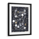 Etapas - Albertus Seba | Cuadro decorativo de Canvas Lab
