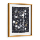 Etapas - Albertus Seba | Cuadro decorativo de Canvas Lab