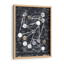 Etapas - Albertus Seba | Cuadro decorativo de Canvas Lab