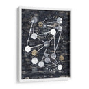 Etapas - Albertus Seba | Cuadro decorativo de Canvas Lab