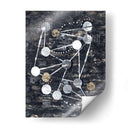 Etapas - Albertus Seba | Cuadro decorativo de Canvas Lab