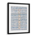 Alineado - Albertus Seba | Cuadro decorativo de Canvas Lab
