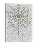 Chakra Web - Albertus Seba | Cuadro decorativo de Canvas Lab