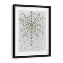 Chakra Web - Albertus Seba | Cuadro decorativo de Canvas Lab