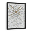 Chakra Web - Albertus Seba | Cuadro decorativo de Canvas Lab