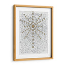 Chakra Web - Albertus Seba | Cuadro decorativo de Canvas Lab