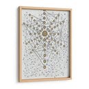 Chakra Web - Albertus Seba | Cuadro decorativo de Canvas Lab