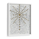 Chakra Web - Albertus Seba | Cuadro decorativo de Canvas Lab