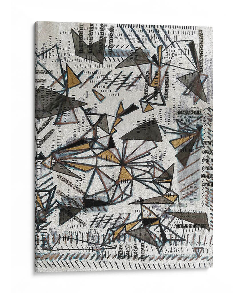 Fracturas De Luz - Albertus Seba | Cuadro decorativo de Canvas Lab