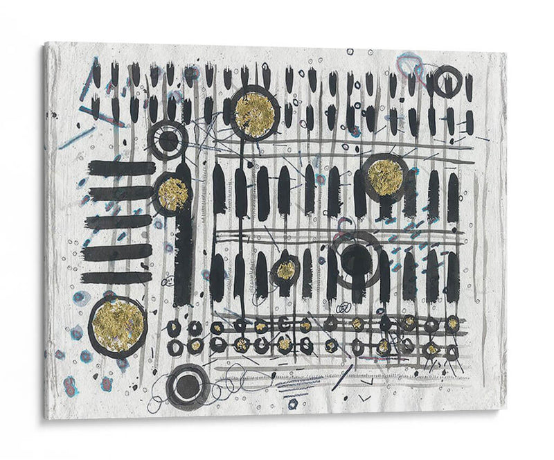 Notas Y Llaves - Albertus Seba | Cuadro decorativo de Canvas Lab