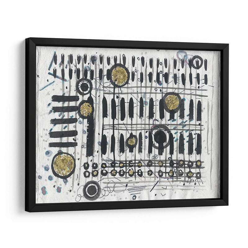 Notas Y Llaves - Albertus Seba | Cuadro decorativo de Canvas Lab