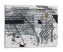 Pedido - Albertus Seba | Cuadro decorativo de Canvas Lab
