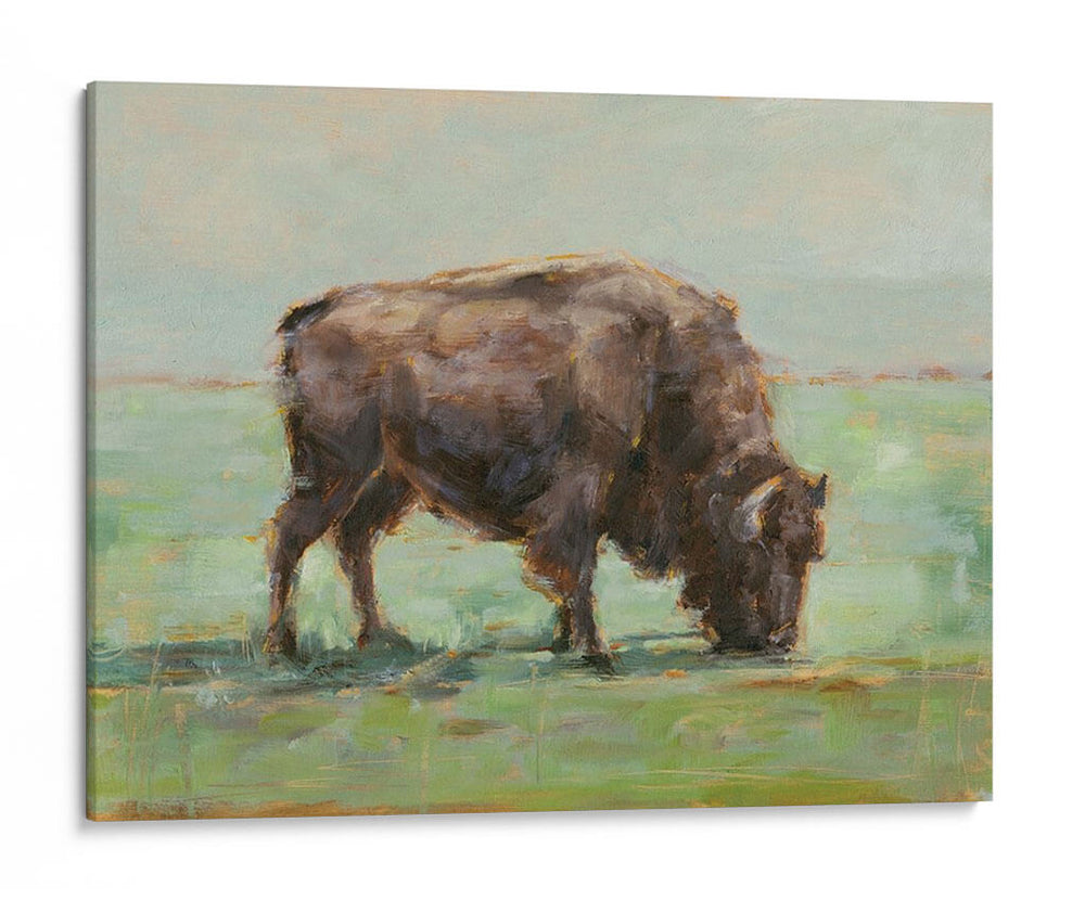 Donde El Búfalo Roam I - Ethan Harper | Cuadro decorativo de Canvas Lab