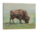 Donde El Búfalo Roam I - Ethan Harper | Cuadro decorativo de Canvas Lab