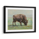 Donde El Búfalo Roam I - Ethan Harper | Cuadro decorativo de Canvas Lab