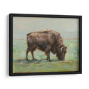 Donde El Búfalo Roam I - Ethan Harper | Cuadro decorativo de Canvas Lab