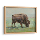 Donde El Búfalo Roam I - Ethan Harper | Cuadro decorativo de Canvas Lab
