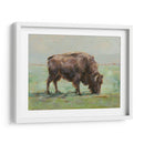 Donde El Búfalo Roam I - Ethan Harper | Cuadro decorativo de Canvas Lab