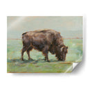 Donde El Búfalo Roam I - Ethan Harper | Cuadro decorativo de Canvas Lab