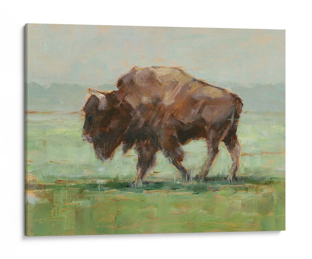 Donde El Búfalo Roam Ii - Ethan Harper | Cuadro decorativo de Canvas Lab