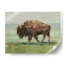 Donde El Búfalo Roam Ii - Ethan Harper | Cuadro decorativo de Canvas Lab