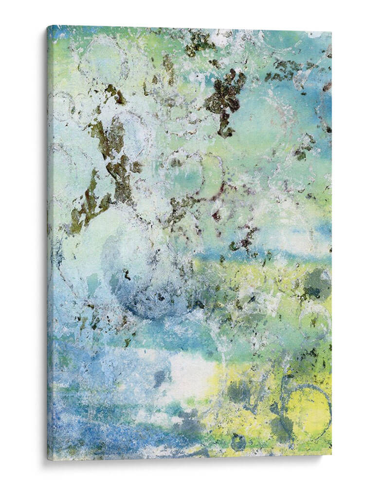 Coral Haze Ii - Joyce Combs | Cuadro decorativo de Canvas Lab