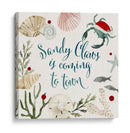 Navidad Besada Por El Sol Iii - Susan Savory | Cuadro decorativo de Canvas Lab