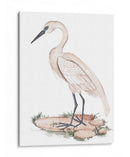 Una Garza Blanca I - Melissa Wang | Cuadro decorativo de Canvas Lab
