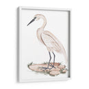 Una Garza Blanca I - Melissa Wang | Cuadro decorativo de Canvas Lab