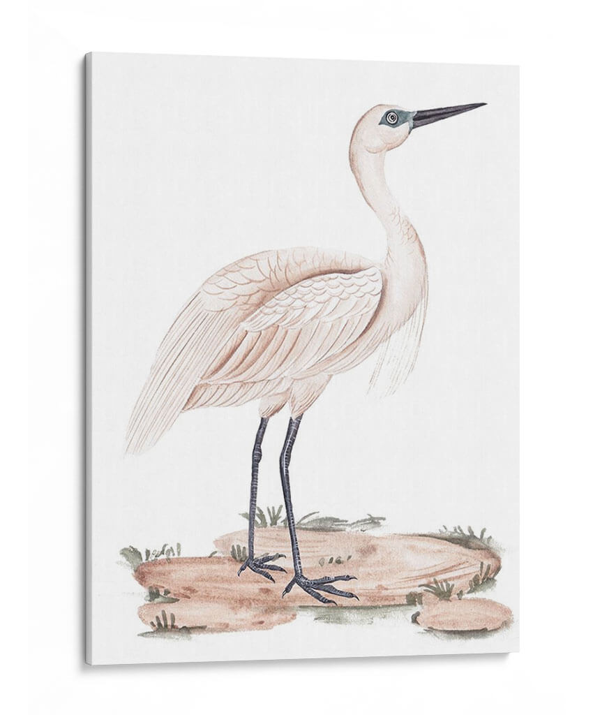 Una Garza Blanca Ii - Melissa Wang | Cuadro decorativo de Canvas Lab