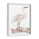 Una Garza Blanca Ii - Melissa Wang | Cuadro decorativo de Canvas Lab