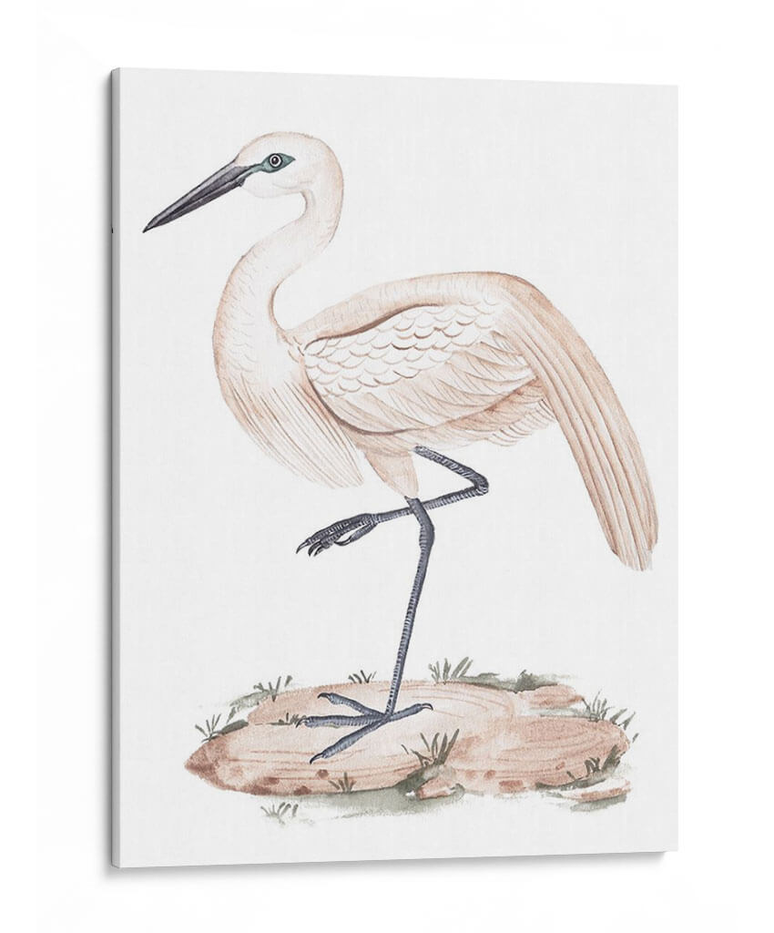 Una Garza Blanca Iii - Melissa Wang | Cuadro decorativo de Canvas Lab