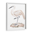 Una Garza Blanca Iii - Melissa Wang | Cuadro decorativo de Canvas Lab
