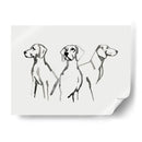 Pup De Acuarela Ii - Grace Popp | Cuadro decorativo de Canvas Lab