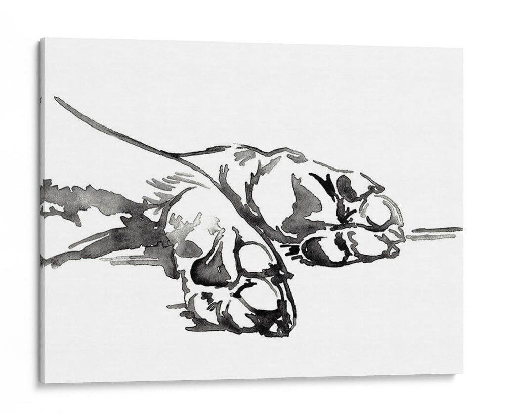 Patas Lineales I - Jennifer Paxton Parker | Cuadro decorativo de Canvas Lab