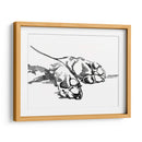 Patas Lineales I - Jennifer Paxton Parker | Cuadro decorativo de Canvas Lab