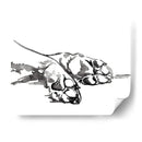 Patas Lineales I - Jennifer Paxton Parker | Cuadro decorativo de Canvas Lab