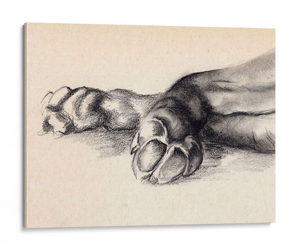 Patas De Carbón I - Jennifer Paxton Parker | Cuadro decorativo de Canvas Lab