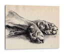 Paws De Carbón Ii - Jennifer Paxton Parker | Cuadro decorativo de Canvas Lab