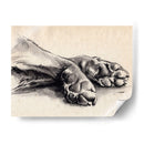 Paws De Carbón Ii - Jennifer Paxton Parker | Cuadro decorativo de Canvas Lab