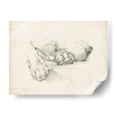 Cachorro Siesta Yo - Ethan Harper | Cuadro decorativo de Canvas Lab