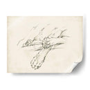 Puppy Nap Ii - Ethan Harper | Cuadro decorativo de Canvas Lab