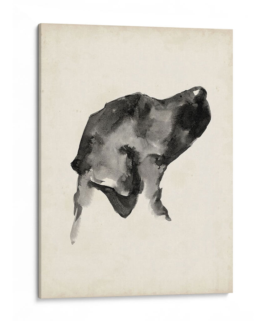 Perfil De Cachorro I - Ethan Harper | Cuadro decorativo de Canvas Lab