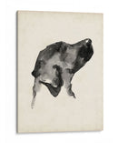 Perfil De Cachorro I - Ethan Harper | Cuadro decorativo de Canvas Lab