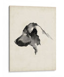 Perfil De Cachorro Ii - Ethan Harper | Cuadro decorativo de Canvas Lab