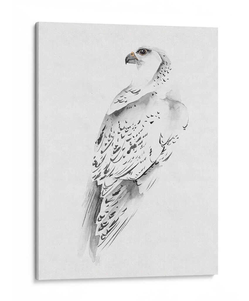 Gyrfalcon I - Melissa Wang | Cuadro decorativo de Canvas Lab