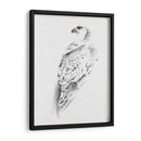 Gyrfalcon I - Melissa Wang | Cuadro decorativo de Canvas Lab
